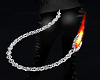 Silver Chain Fire Tail