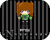 .N.Angi.S.