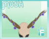 Spirii's Horns (F)