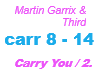 Martin Garrix/Carry You