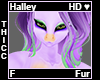 Halley Thicc Fur F