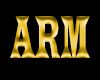 ARM BAND HOT JAPANESE L