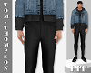 Joelle Fitted Denim