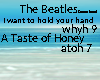 The Beatles 2 songs