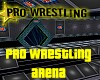Pro Wrestling Arena