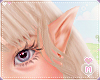 Kid 🌸 Flor Elf Ears