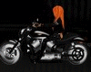 [AD] Harley Triggers
