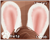 [Pets] Fievel | ears v3