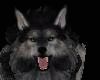 DJ Wolf Mountain