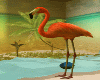Flamingo Ibiza P