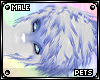 [Pets] Ferre | hair v3
