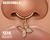 DRV. Butterfly septum 