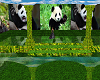 panda ballroom