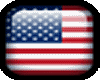 USA Badge 40 x 40
