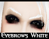 Eyebrows white