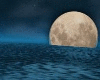 OO * Night Moon Lagoon 