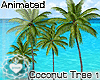 [JS] Anim*Coconut Tree 1