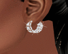 Gold-Diamond Earrings