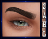 LS~ MALE MODEL BROWS