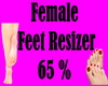 Female Feet Resizer 65%