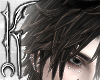 ╋━ REVOLVER+
