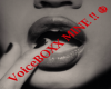 *A* VoiceBOXX Mine!! VB