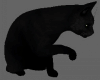 JZ Black Cat Animated