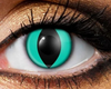 Emerald Cat Eye F