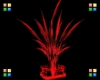 (VH) Red Deco Palm Plant