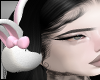 Headset Rabbit