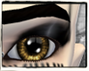 [xS9x] Abashed Eyes -M-