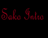 Sako Dub Intro
