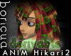 [B] Hikari 2 Derivable
