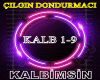 Ã§Ä±lgÄ±n dondurmacÄ&pl