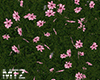 MTZ | Grass&Flower wall.