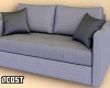 Gray Couch