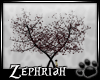 [ZP] Zephy Tree