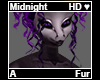Midnight Fur A