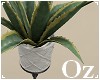 [Oz] - Plant pot A
