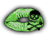 Skully~Kisses Green