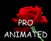 rose animated