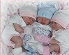 TRIPLETS BABY PICTURE
