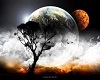 full moon arising