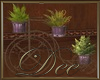 Boho Bicycle Plant