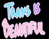 Trans is Beautiful