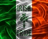 IRISH PRIDE /SONG