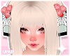 ♡ yue blonde