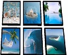 6 Ocean Pictures