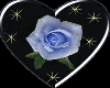 the rose blue love