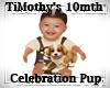 TiMothys 10mth Celeb Pup